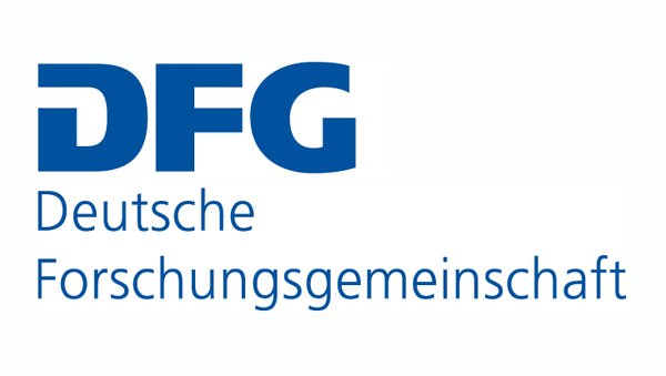 Logo DFG Deutsche Forschungsgemeinschaft 